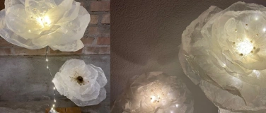 Event-Image for 'NATURENA: Leuchtende Mohnblumen'