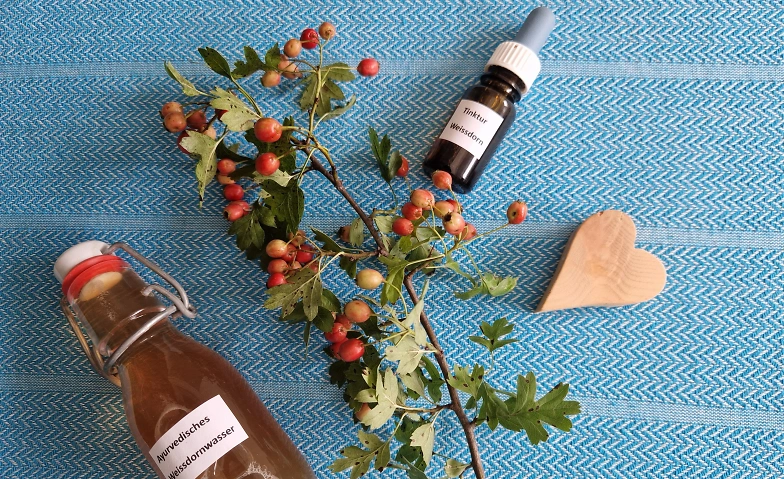 Event-Image for 'NATURENA: Heilpflanzen - die Kraft der Natur'