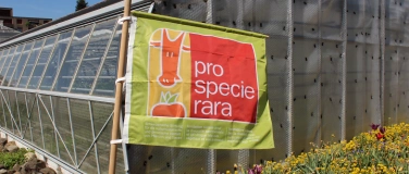 Event-Image for 'Grün über Mittag: Führung mit Pro Specie Rara'