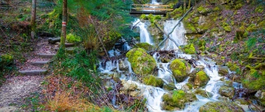 Event-Image for 'Self Care Days'