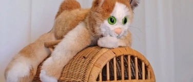 Event-Image for 'Caruso hütet eine Maus'
