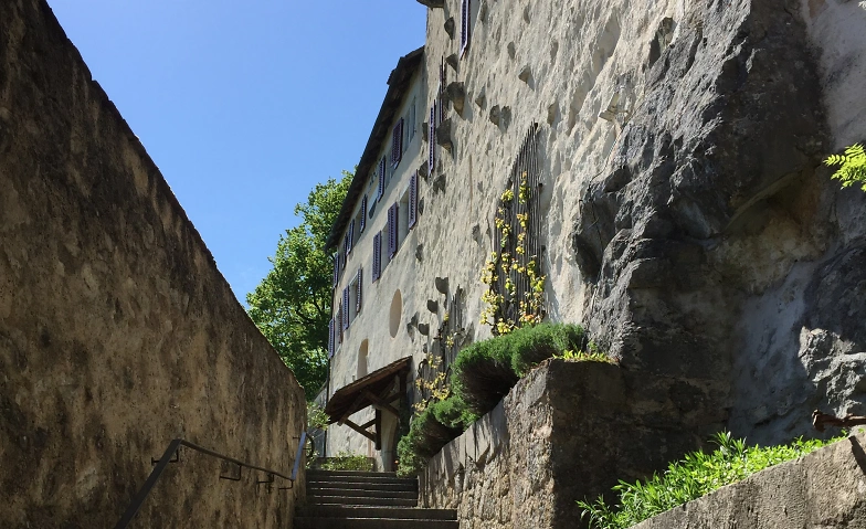 Schlossf&uuml;hrungen Tag der offenen T&uuml;r Tickets