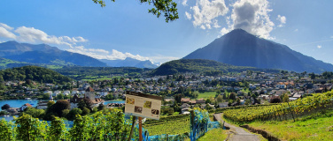 Event-Image for '7. Spiezer Weinspaziergang'