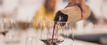 Event-Image for 'Rebsorten-Kurs: Merlot, Chardonnay & Co.'