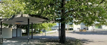Event-Image for 'Baumsprechstunde'