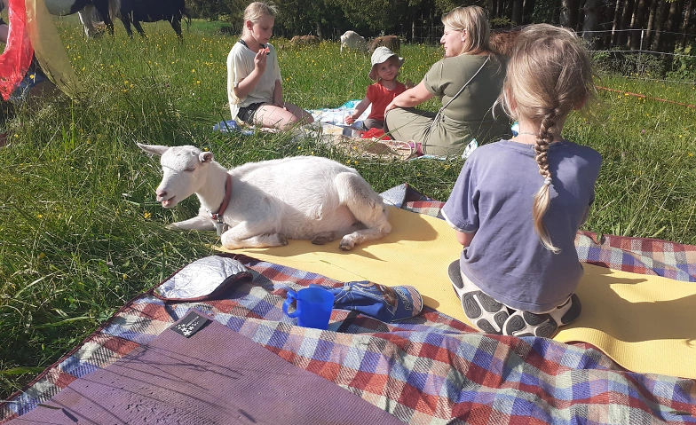 Ziegenyoga f&uuml;r Kinder (und auch Erwachsene) Tickets