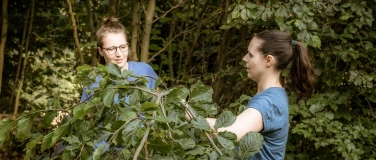 Event-Image for 'Herbst-Gartenkurs in Thurnen'