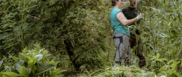 Event-Image for 'Herbst-Gartenkurs in Kirchdorf'