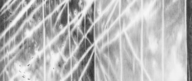 Event-Image for 'JULIA STEINER'