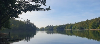 Event organiser of Wald, Wasser, Waffeln - Bergisch Wandern und Genießen