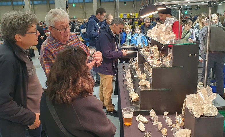 Event-Image for 'Berner Mineralien- und Fossilienbörse'