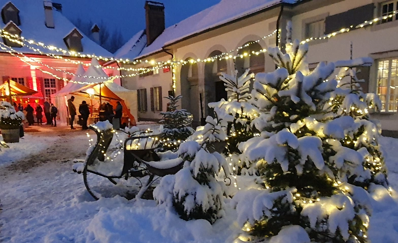 Event-Image for 'Weihnachtszauber im Schlosshof'