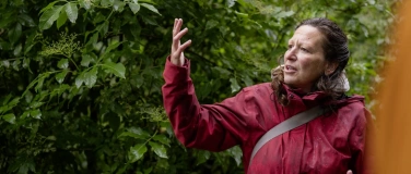 Event-Image for 'Heilpflanzen-Spaziergang, Pflanzengeschichten'