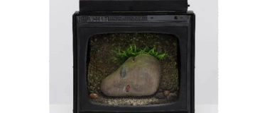 Event-Image for 'Vernissage: Carl Cheng - Nature Never Loses'