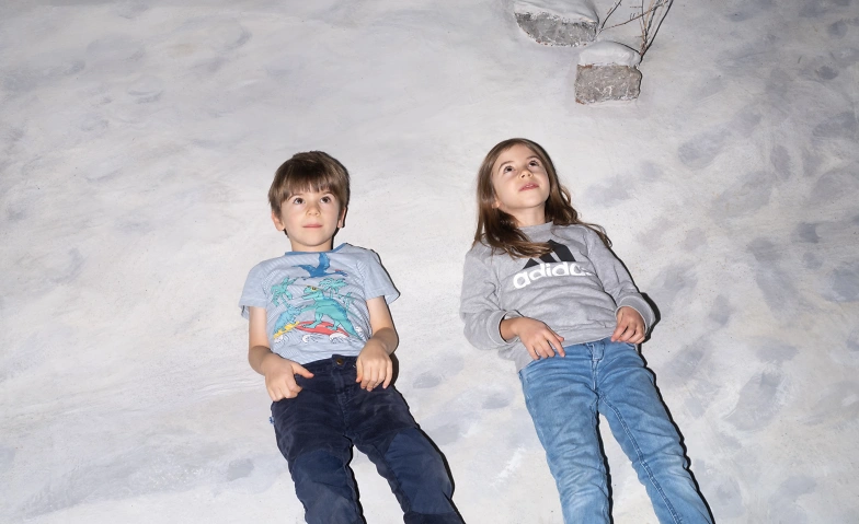 360&deg; Wow! Billets