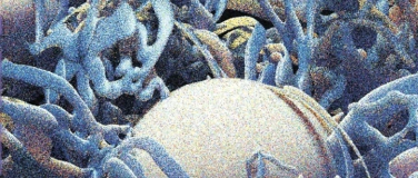 Event-Image for 'PerleNest'