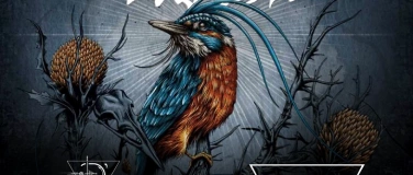 Event-Image for 'Vanish (DE), Doctor Anger (DE) & D’OR LIVE'