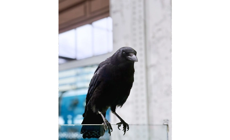 Event-Image for '&Eacute;cho min&eacute;ral'