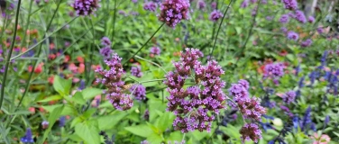 Event-Image for 'M&auml;delsabend f&uuml;r Erwachsene in Saarbr&uuml;cken Malstatt'