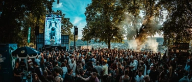 Event-Image for 'Back to life AM B&Auml;UMLI / DAYRAVE / WINTERTHUR'