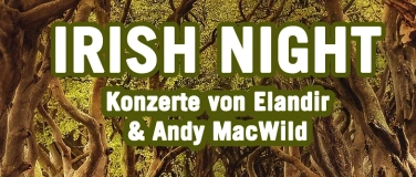 Event-Image for 'Irish Night mit Elandir &  Andy MacWild'