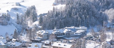 Event-Image for 'Steffele im Hof'