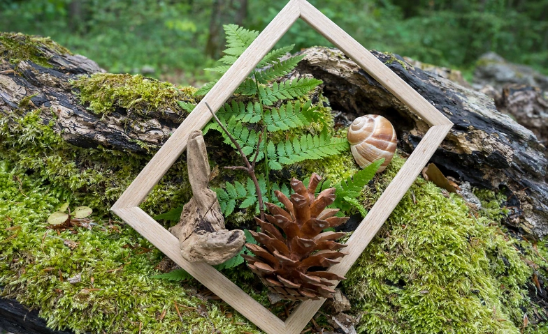 Event-Image for 'Naturverbindung, Entspannung und Achtsamkeit in Zürich'