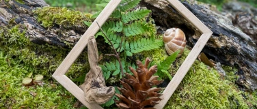 Event-Image for 'Naturverbindung, Entspannung und Achtsamkeit in Zürich'