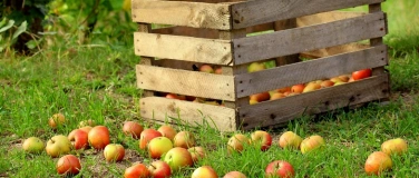 Event-Image for 'Naturama Kinderclub: Selber mosten und Apfelsaft kosten'