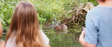 Event-Image for 'Familiensommer: Auf Biberpirsch im Auenland'