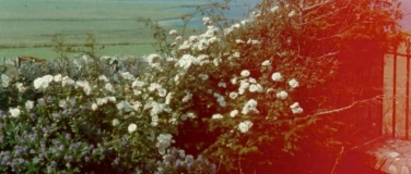 Event-Image for 'Margaret Tait II / Videoex 2025'