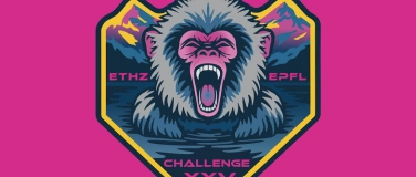 Event-Image for 'CHALLENGE Run 2024'