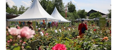 Event-Image for 'Meiers Rosenfest'
