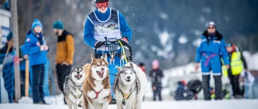 Event-Image for 'Internationales Schlittenhunderennen Gadmen 2026'