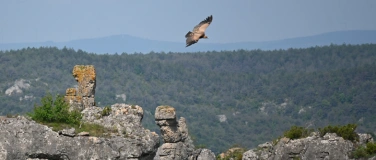 Event-Image for 'Die Cevennen - Einzigartige Natur im Süden Frankreichs'