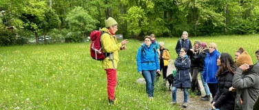 Event-Image for 'Essbare Wildkräuter - kennenlernen und geniessen'