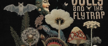 Event-Image for 'Jolly & the Flytrap - Neue Platte, 40 Jahre Musikgeschichte'