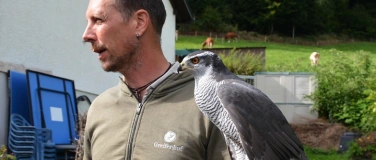 Event-Image for 'NaturFilm-Abend: &laquo;Adlerj&auml;gerin&raquo; &ndash; Die Tradition der Beizjagd'