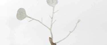 Event-Image for 'Kunst &uuml;ber Mittag: Josephine Troller'