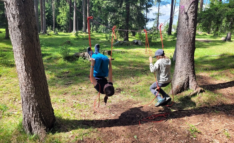 Event-Image for 'NATURENA: Knotentechnik f&uuml;r Seilkonstruktionen im Wald'