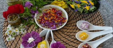 Event-Image for 'Spannende Wildkräuterrezepte'