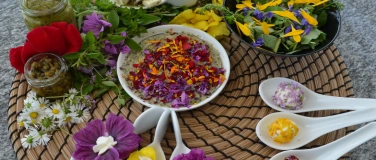 Event-Image for 'Spannende Wildkräuterrezepte'