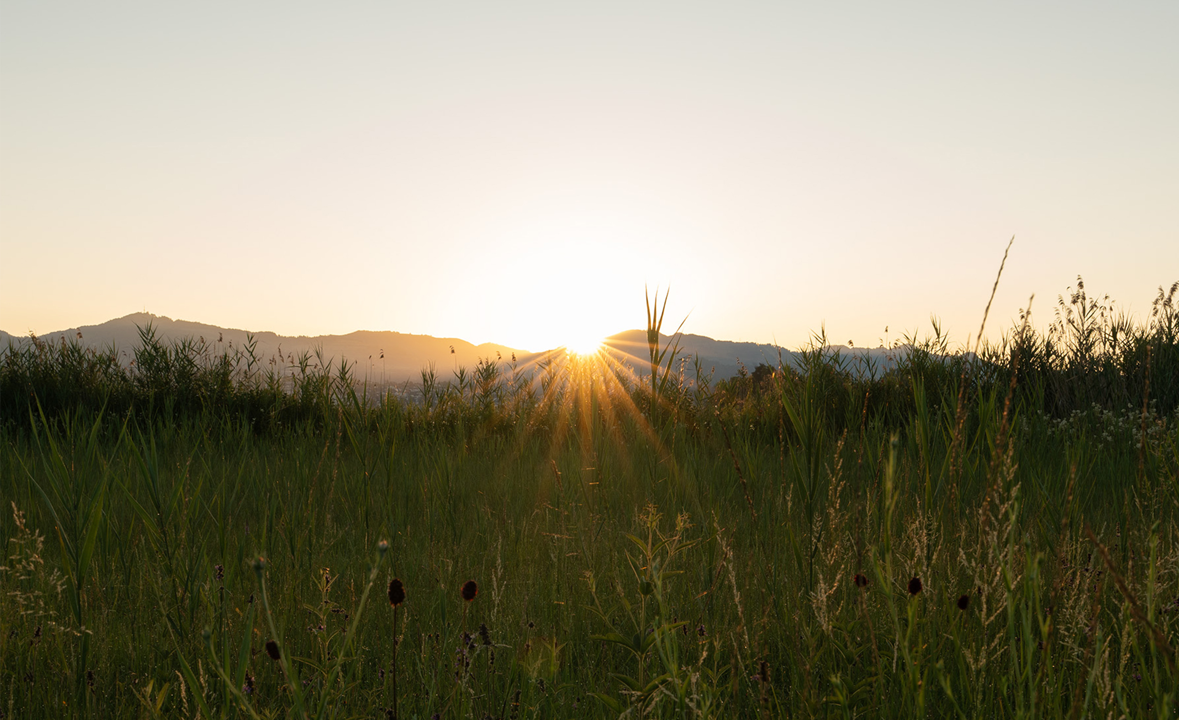 Erste Sonnenstrahlen auf der Ufnau Billets