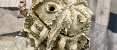 Event-Image for '&Ouml;ffentliche F&uuml;hrungen'