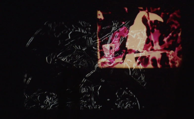 Laurence Favre &amp; Olivier Richard- F(r)ictions / Videoex 2025 Billets