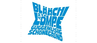 Event organiser of Sch&ouml;negr&ouml;ndler Fasnacht 2026