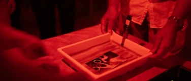 Event-Image for 'Workshop: Fotogramm &ndash; Gestalten mit Licht'