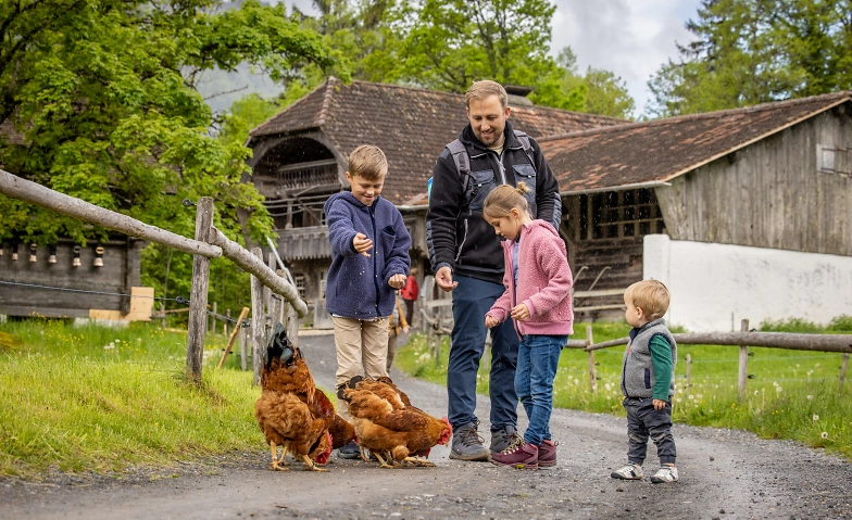 Event-Image for 'Bauernhoftier-Tage'