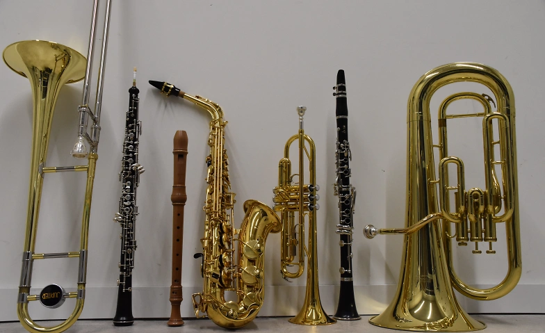 Event-Image for 'Workshop "Zum Tanz geblasen"'