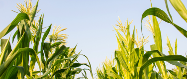 Event-Image for 'Präzisionslandwirtschaft: Technologien und Ernährungssysteme'